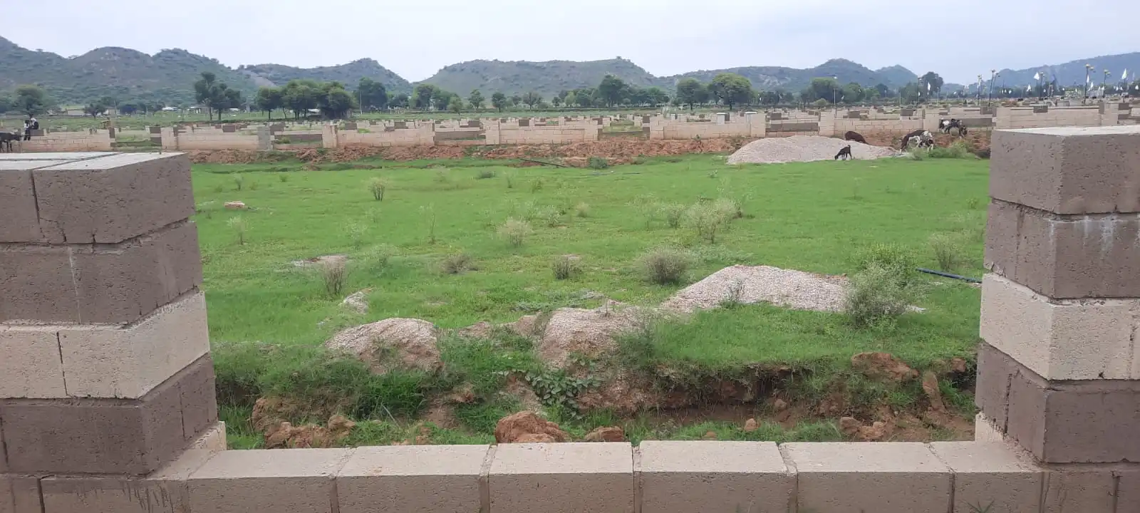Plot investment opportunity near NIMS University, Jaipur