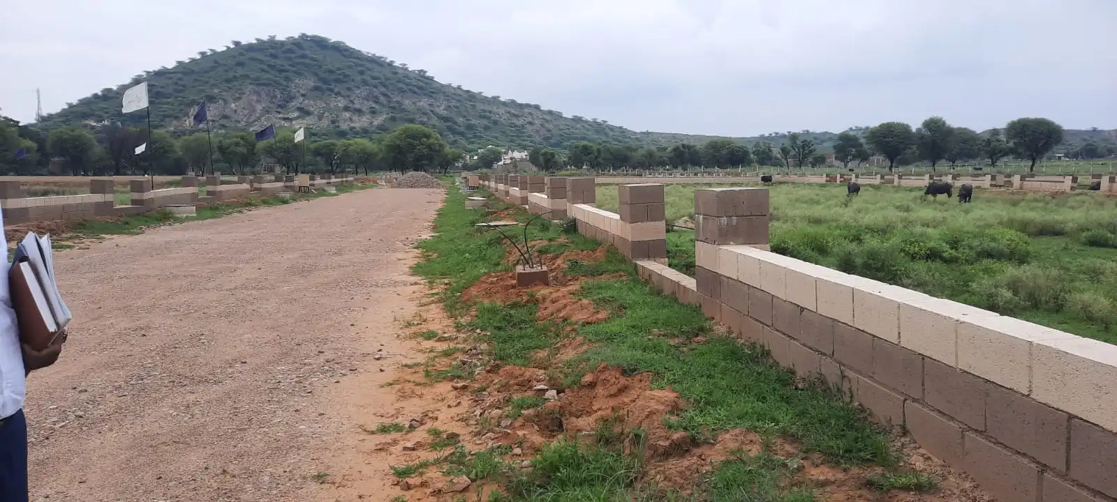 Actual plotted development road and plot boundary near NIMS University, Jaipur