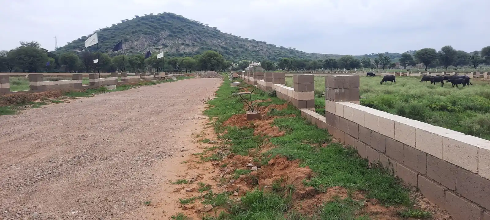Actual residential plotted development site near Jaipur